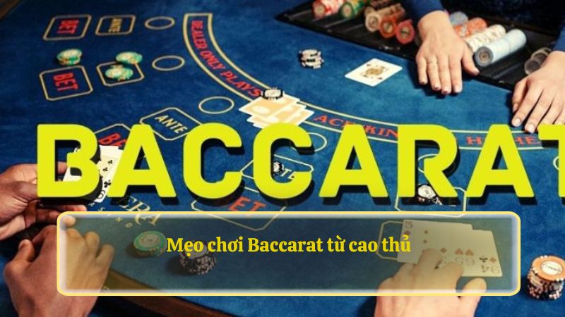 Chiến lược quản lý tài chính hiệu quả khi chơi cá cược tại Baccarat của GO99