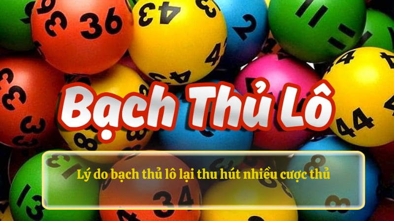 Lý do bạch thủ lô lại thu hút nhiều cược thủ