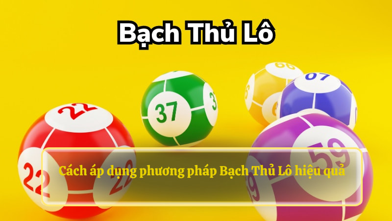 Cách áp dụng phương pháp Bạch Thủ Lô hiệu quả